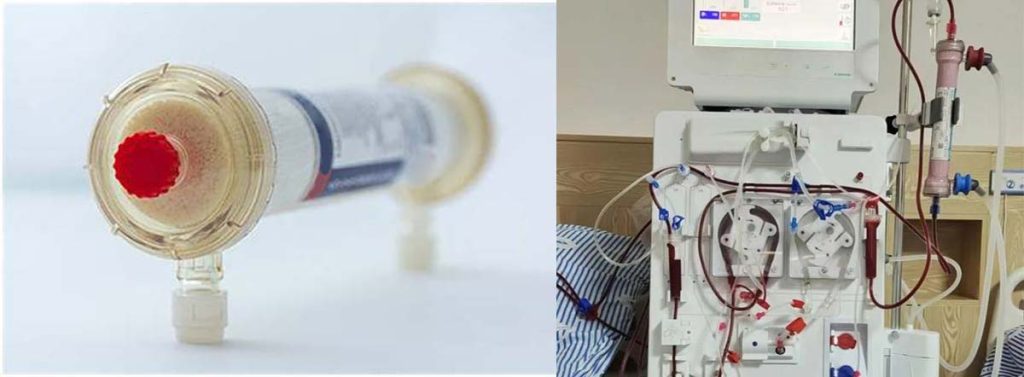 hemodialysis-infection